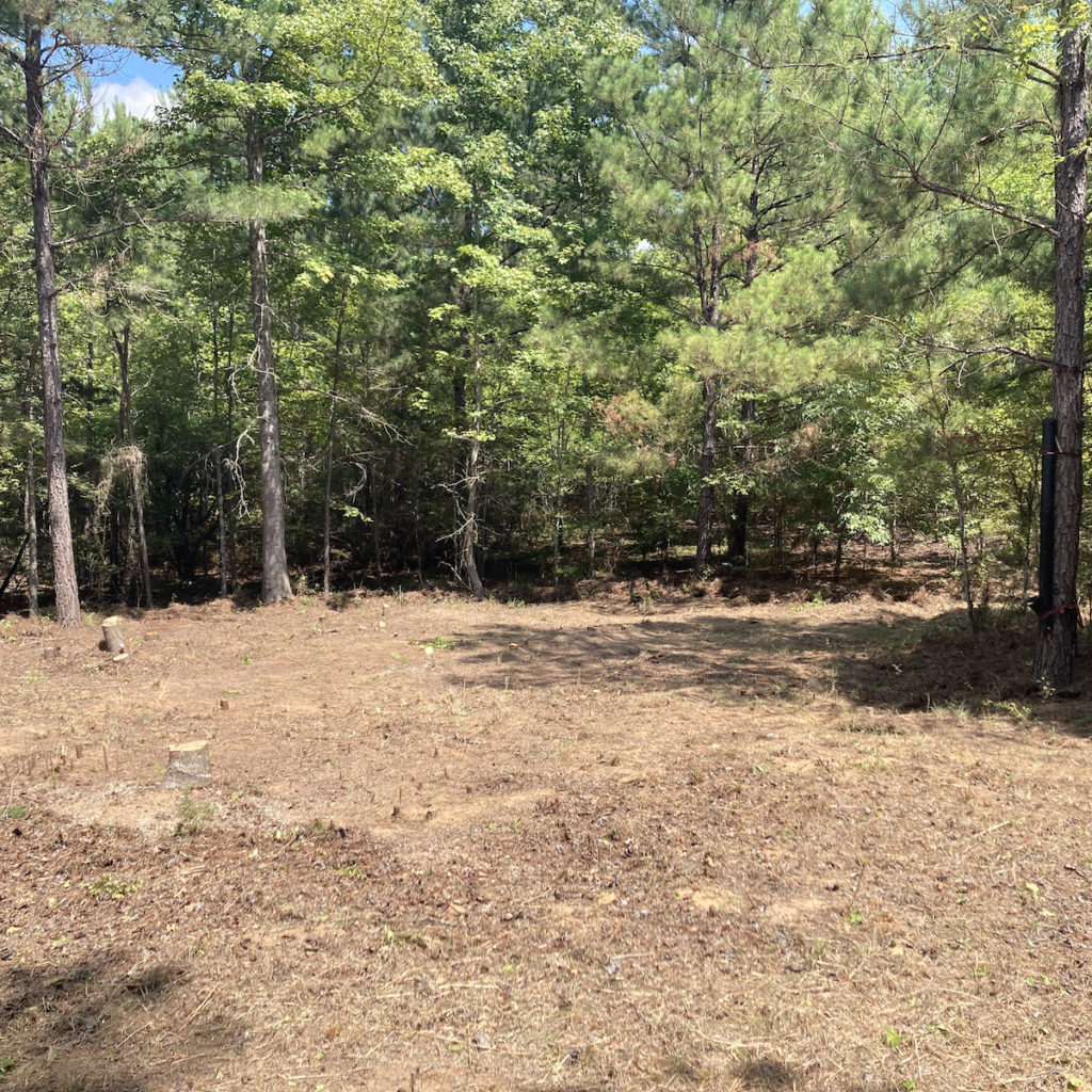 DIY: Convert Low-Quality Habitat Into A Food Plot - Reckon I’ll